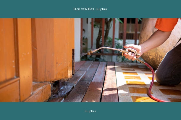 PEST CONTROL Sulphur